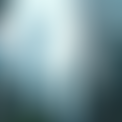 Simplifying Hong Kong Company Formation