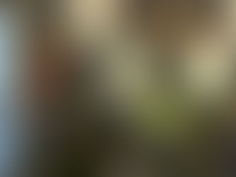 许会长杭州发表“人类健康3.0”会议宣讲