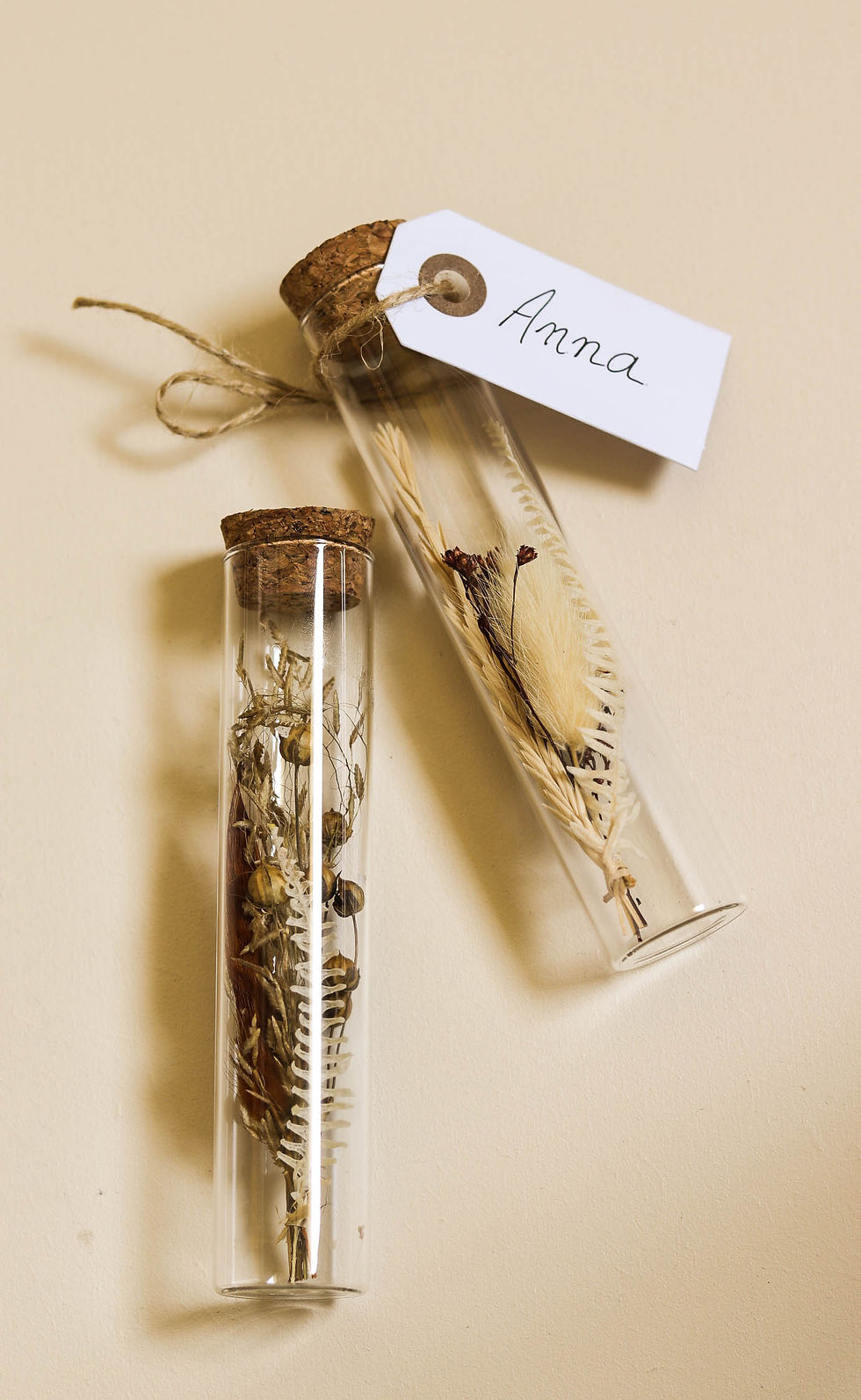 Miniature : Cadeau invité