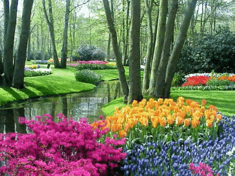 Trulip Lake Garden.gif