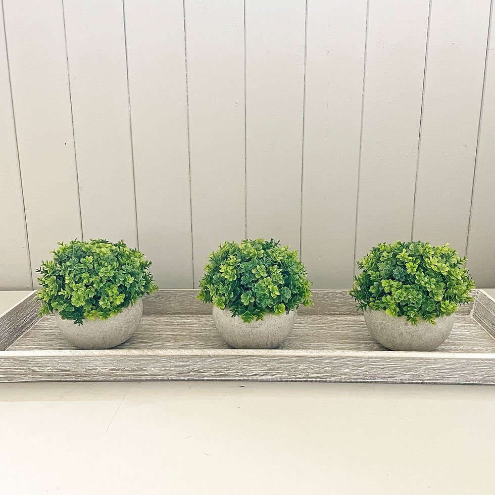 Thumbnail: Display faux plant - round