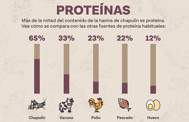 proteína de chapulín, proteína de alta calidad, proteína sustentable, proteína amigable con el medio ambiente, barras de proteína de chapulín. 