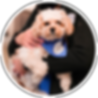 MILO_solo-portrait.jpg