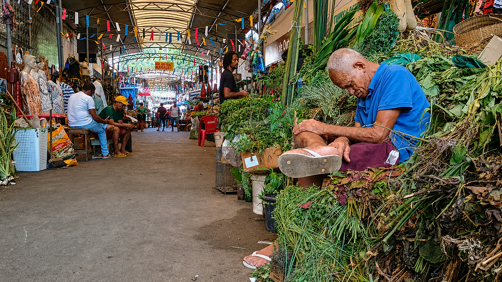 Homem idoso de camisa azul senta-se entre plantas num mercado coberto, com barracas coloridas, pessoas ao fundo e letreiro parcial.