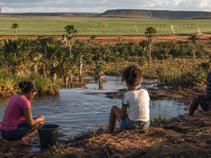 Cerrado é caixa d’água do Brasil, mas sua destruição também ameaça o Nordeste