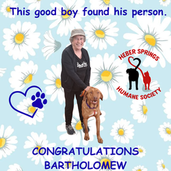 Adoption of Bartholomew again