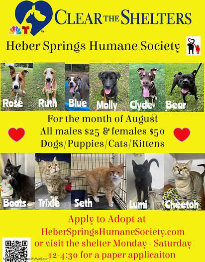 Clear the Shelters 2025 - 1.jpg