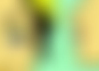 Influencer Marketing: Why It Matters to Brands