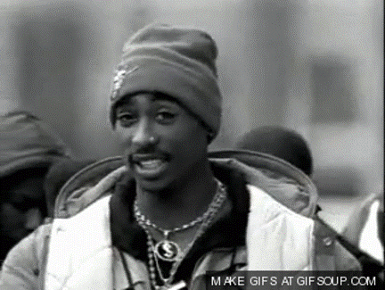 Picture1.gif