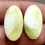 Thumbnail: American Jasper Pair - 21.70ct