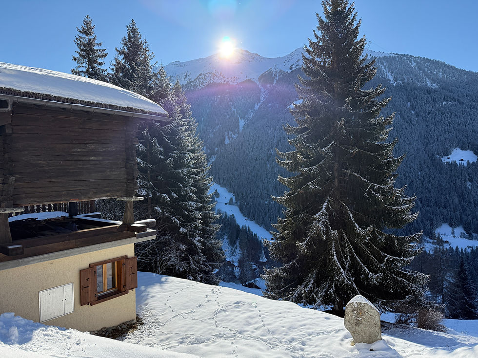 Chalet Cuckoo in the setting sun