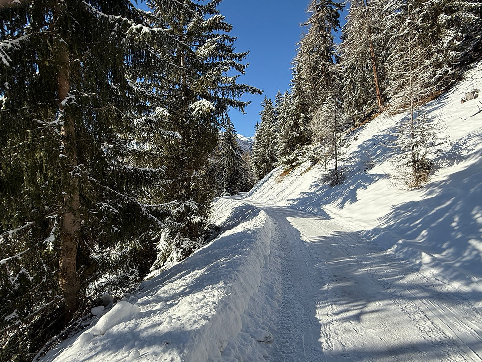 Walks on the doorstep regardless of season
