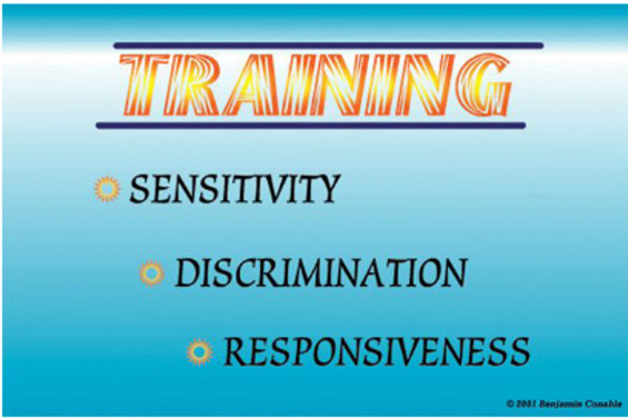 page30image885360.png