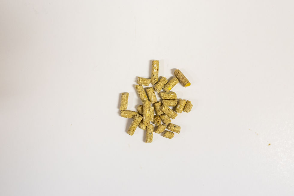 Thumbnail: 24% Game Bird Pellet