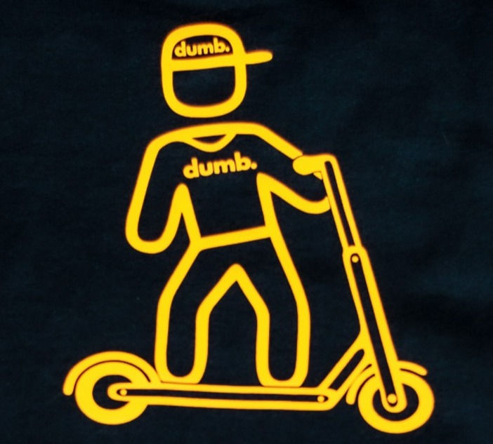 Thumbnail: dumb. youth action scooter hoodie