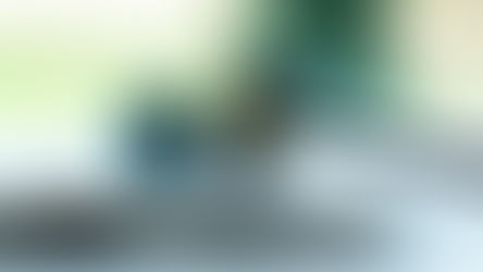 Environmental Law: Mathur v. Ontario