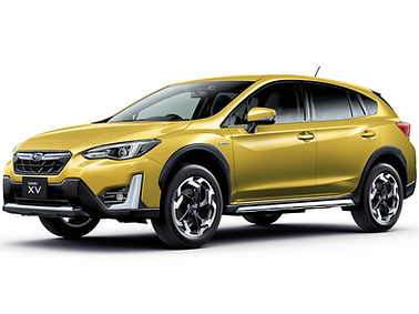 XV