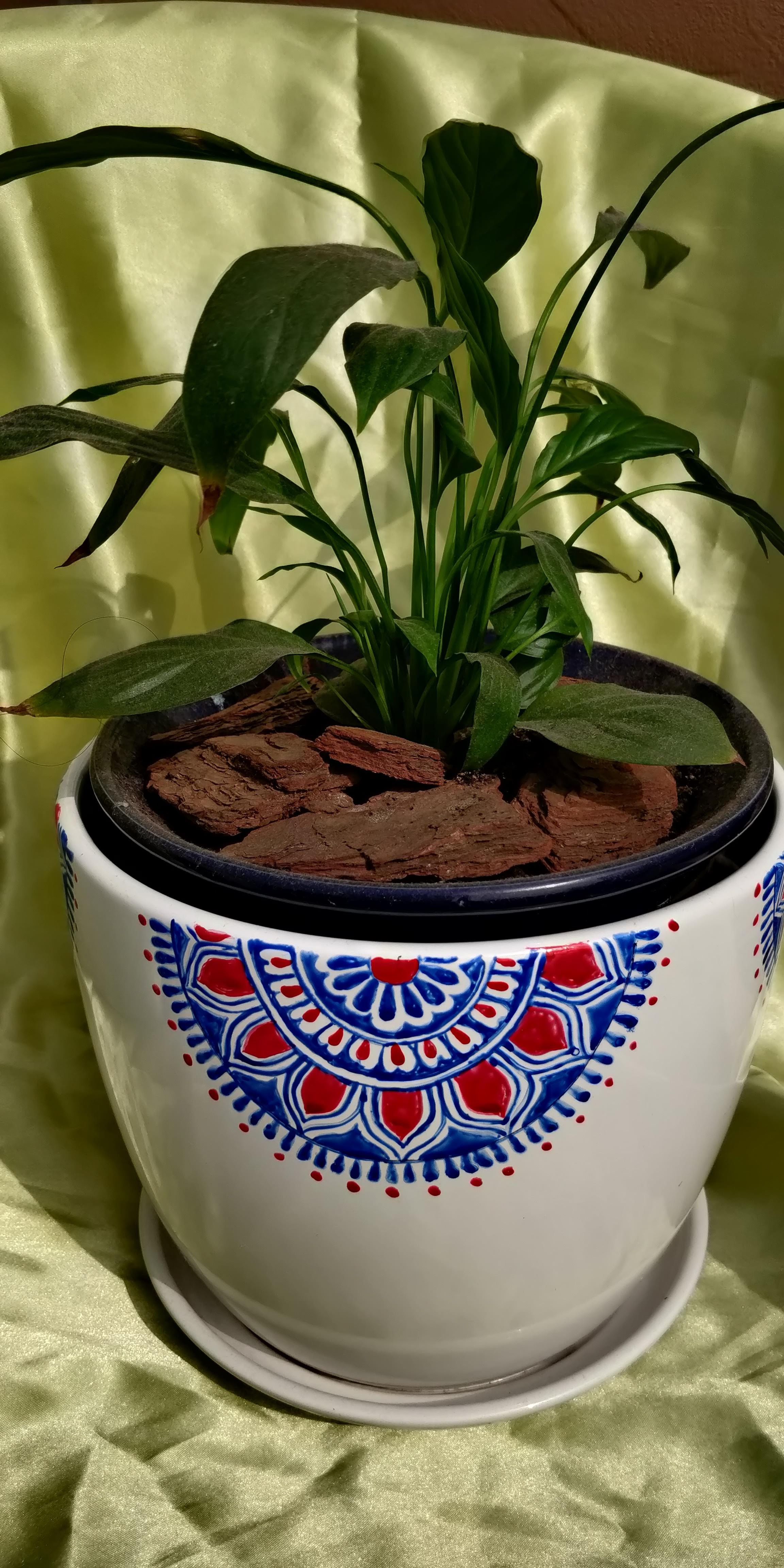 Porcelain Planter - Big