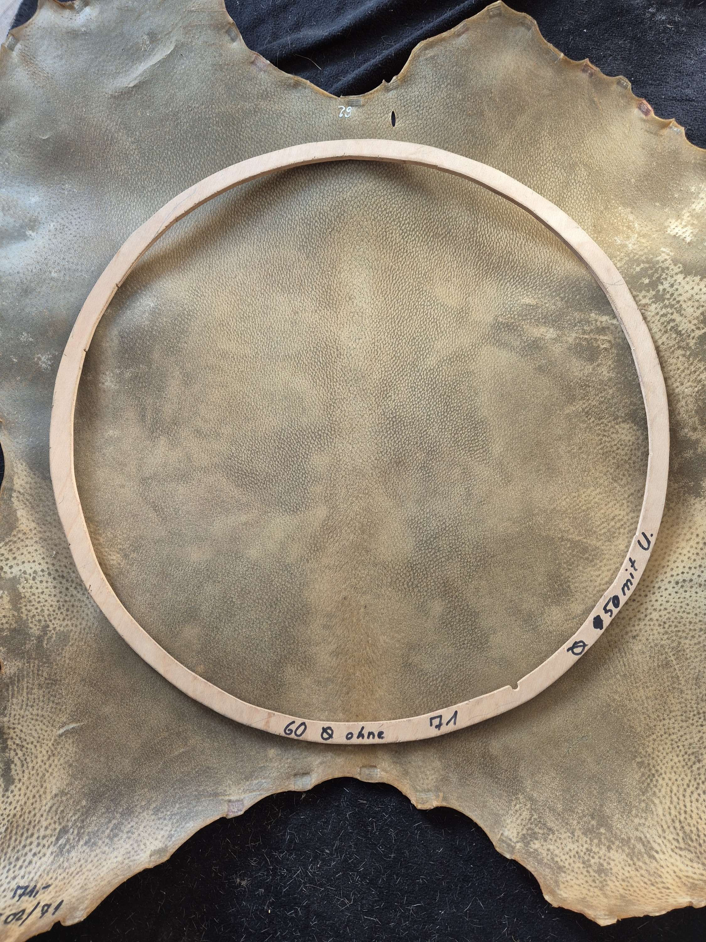 02/ 71 Wildschweinrohhaut