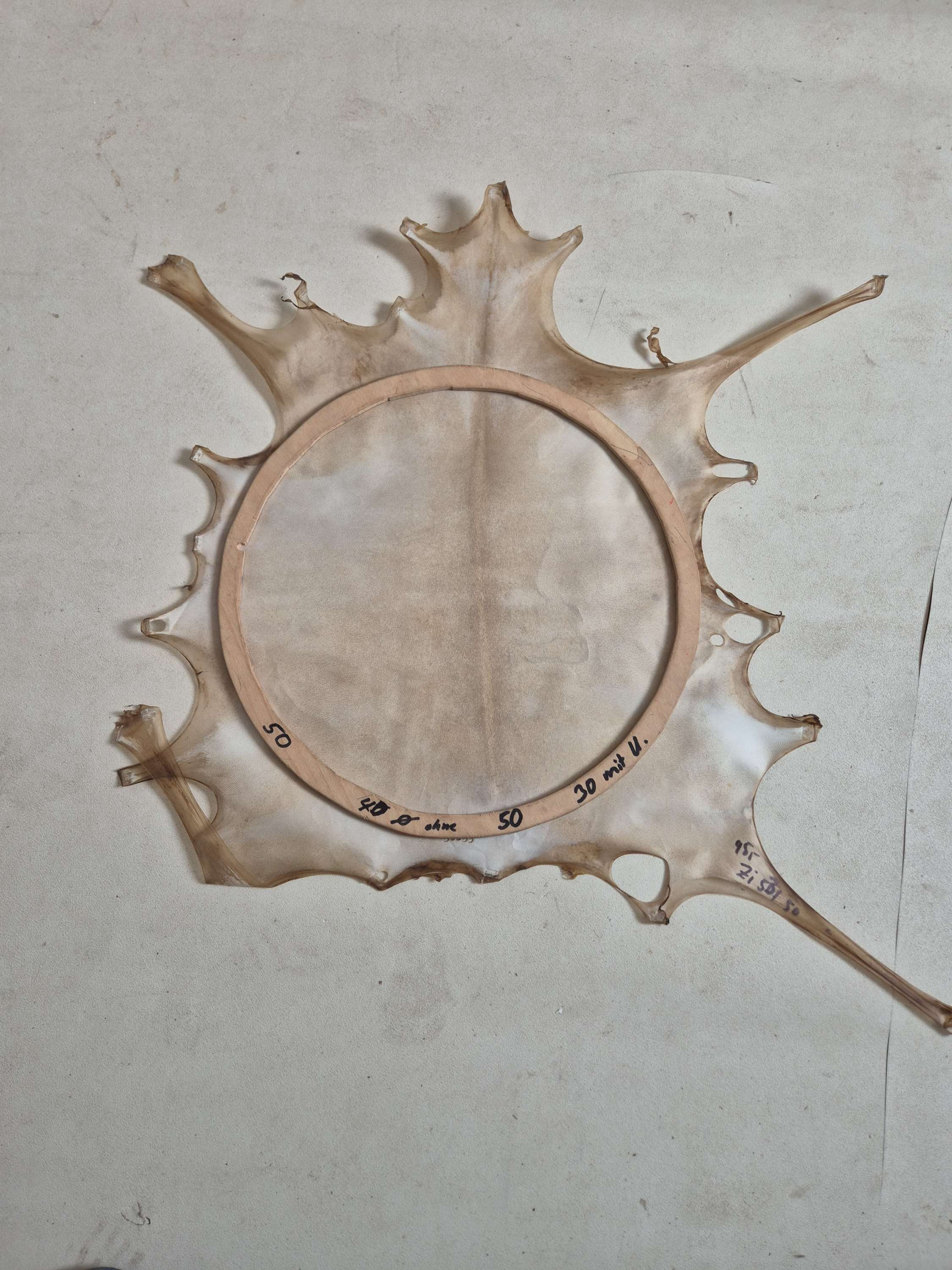 53/50 cm Ziegenrohhaut Pergament Schamanen Trommel