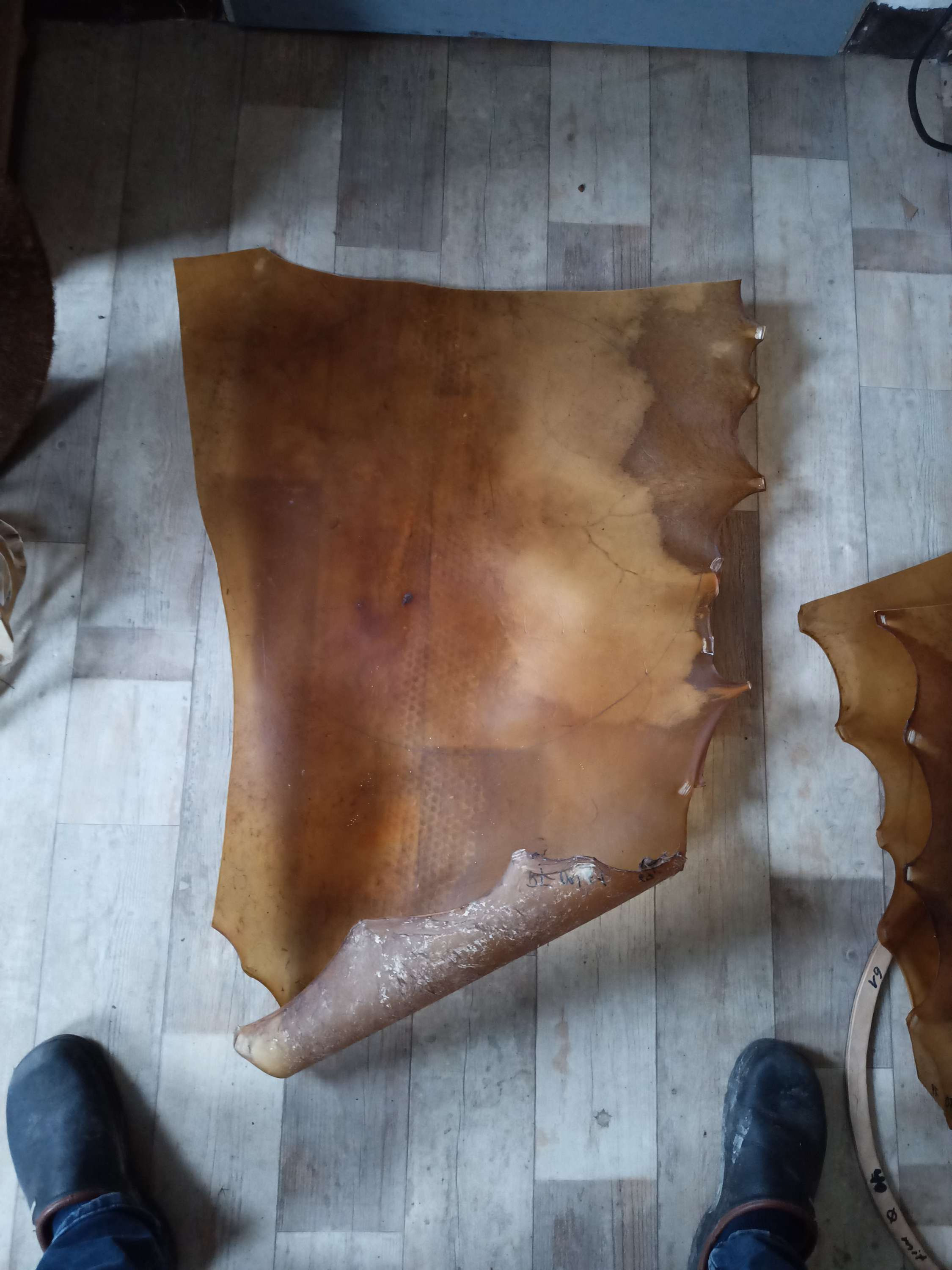 09/61cm Pferd Rohaut Pergament