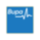 Bupa Health Fund Dentist