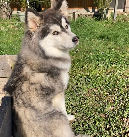 Sans titre_edited.jpg