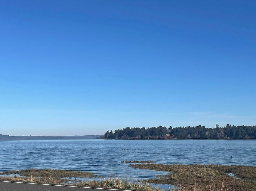 clear bay.jpg