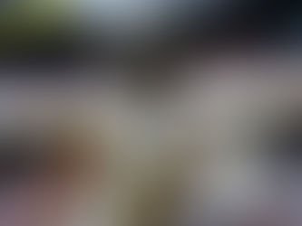 Chris Olave to the Steelers is NOT a good idea