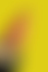 Kafka e o conto da boneca viajante