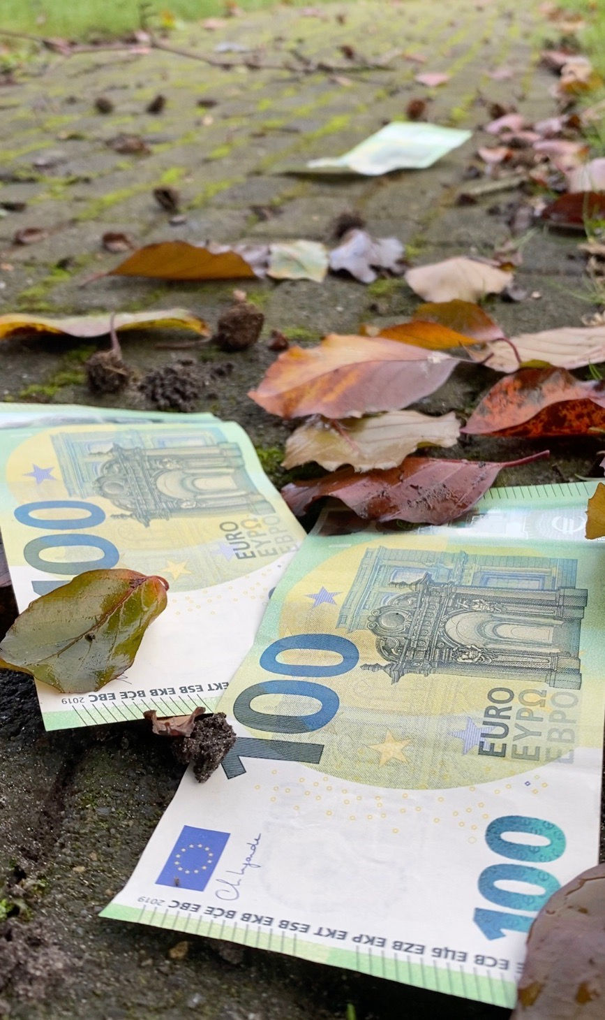 Cash, Fall colored leaves on the street, post truth world