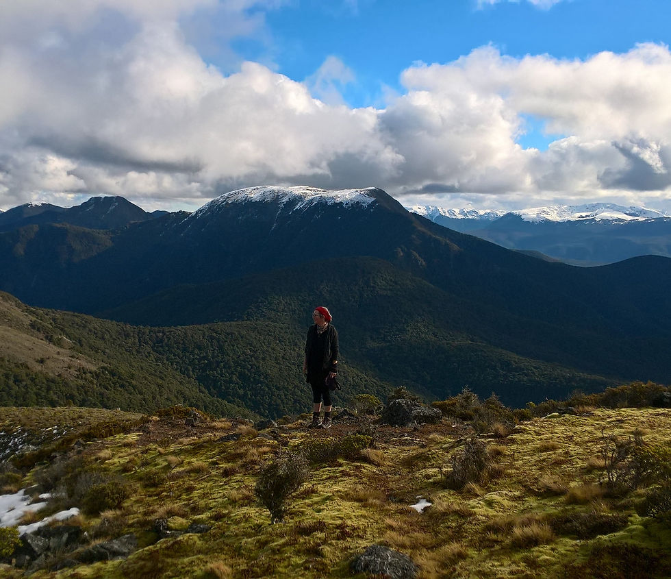 kahurangi national park wharepapa pukeone