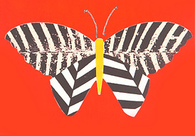 Vivid Butterfly