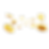 5255.png