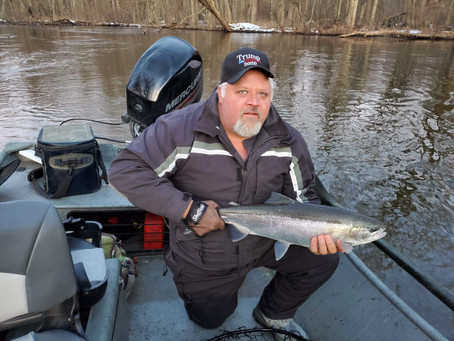 Michigan Spring Steelhead Fishing Report