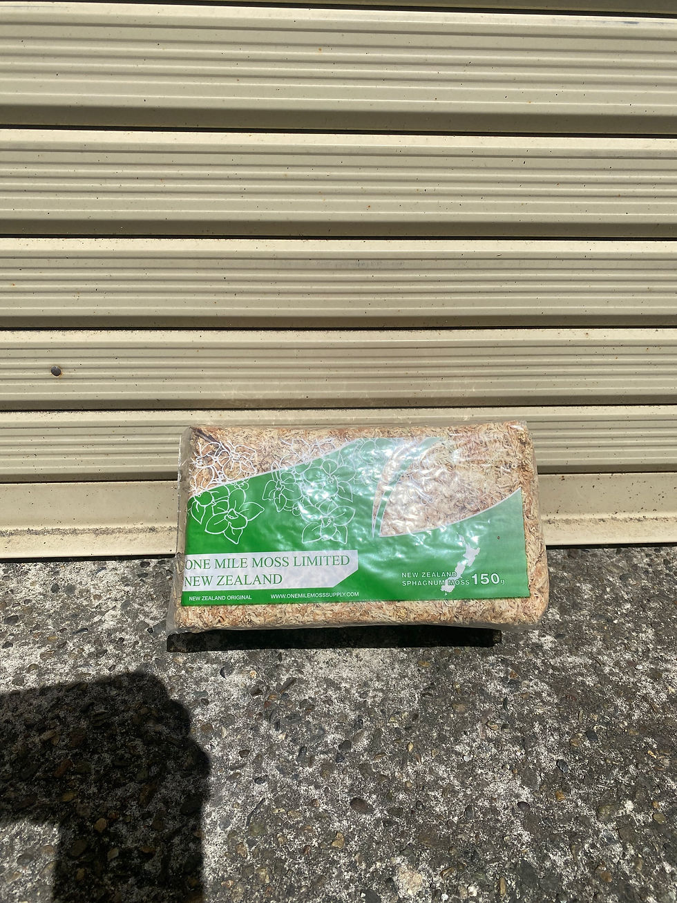 ニュージランド産水苔　5A   500g