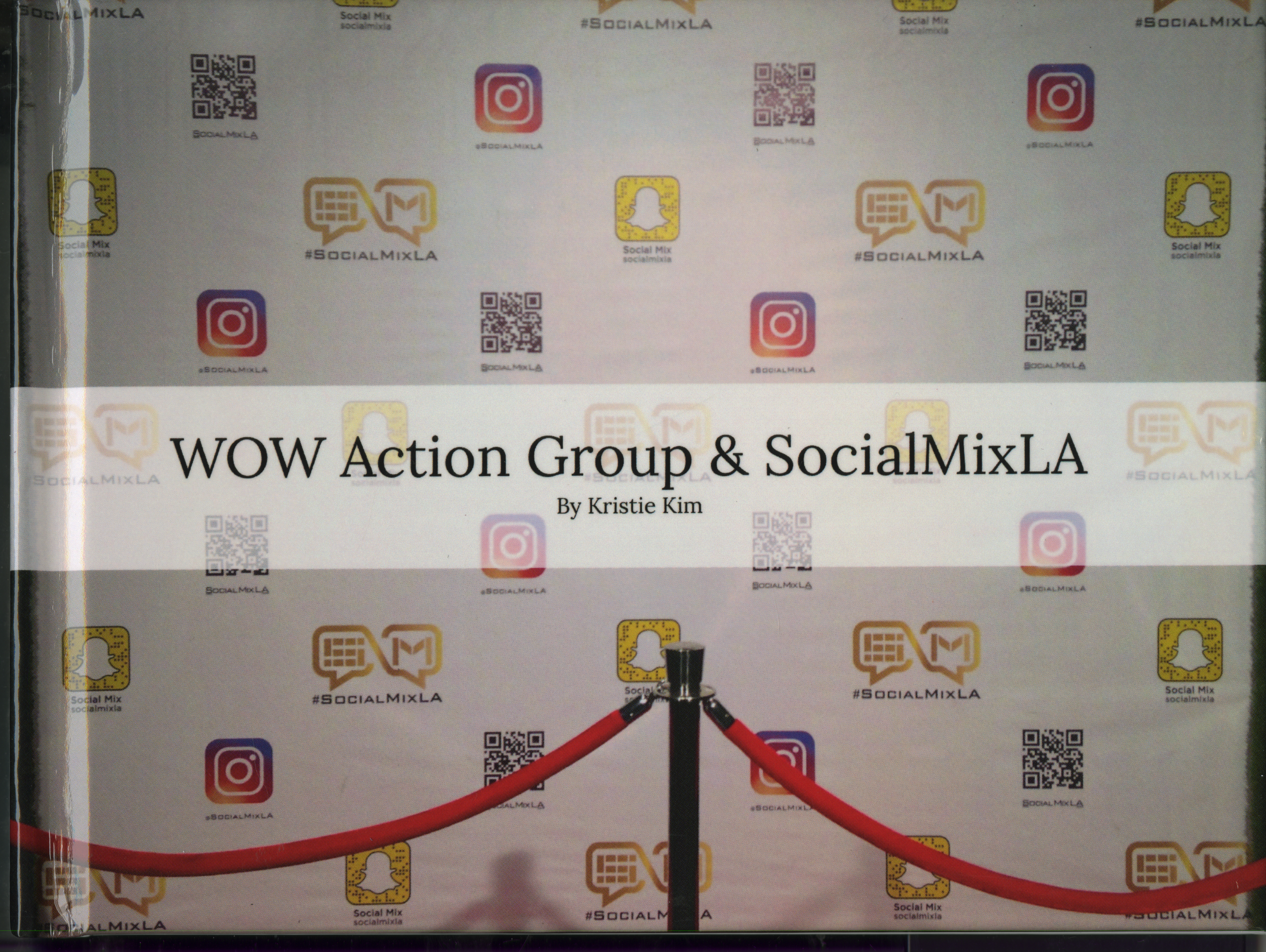 WOW Action Group & SocialMixLA