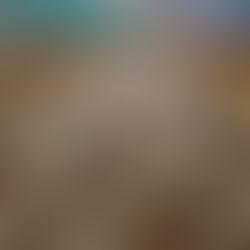 Green Story Global Highlights the Critical Role of Envirocleanse-A in Combating Avian Influenza Across the U.S.