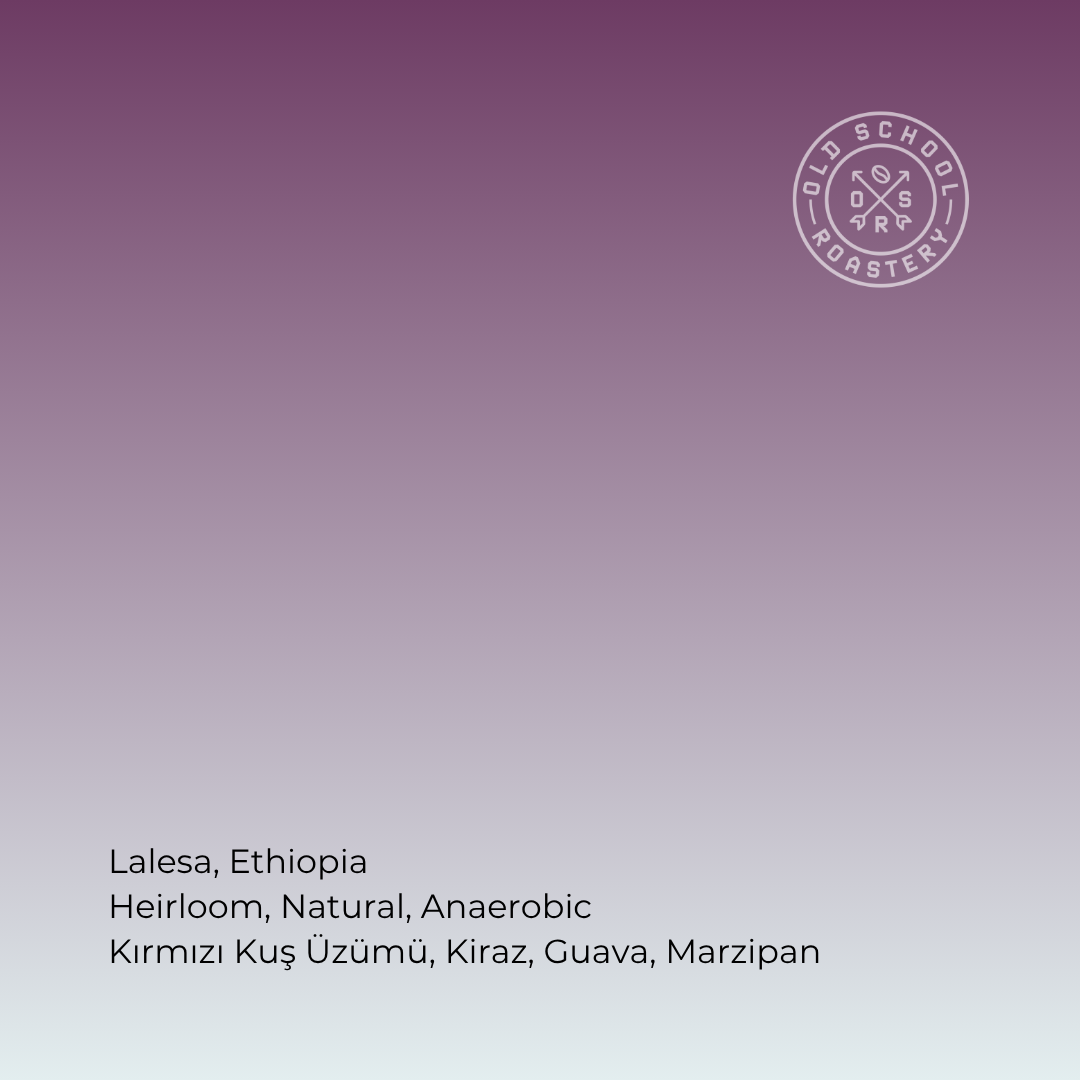 LALESA - ETHIOPIA