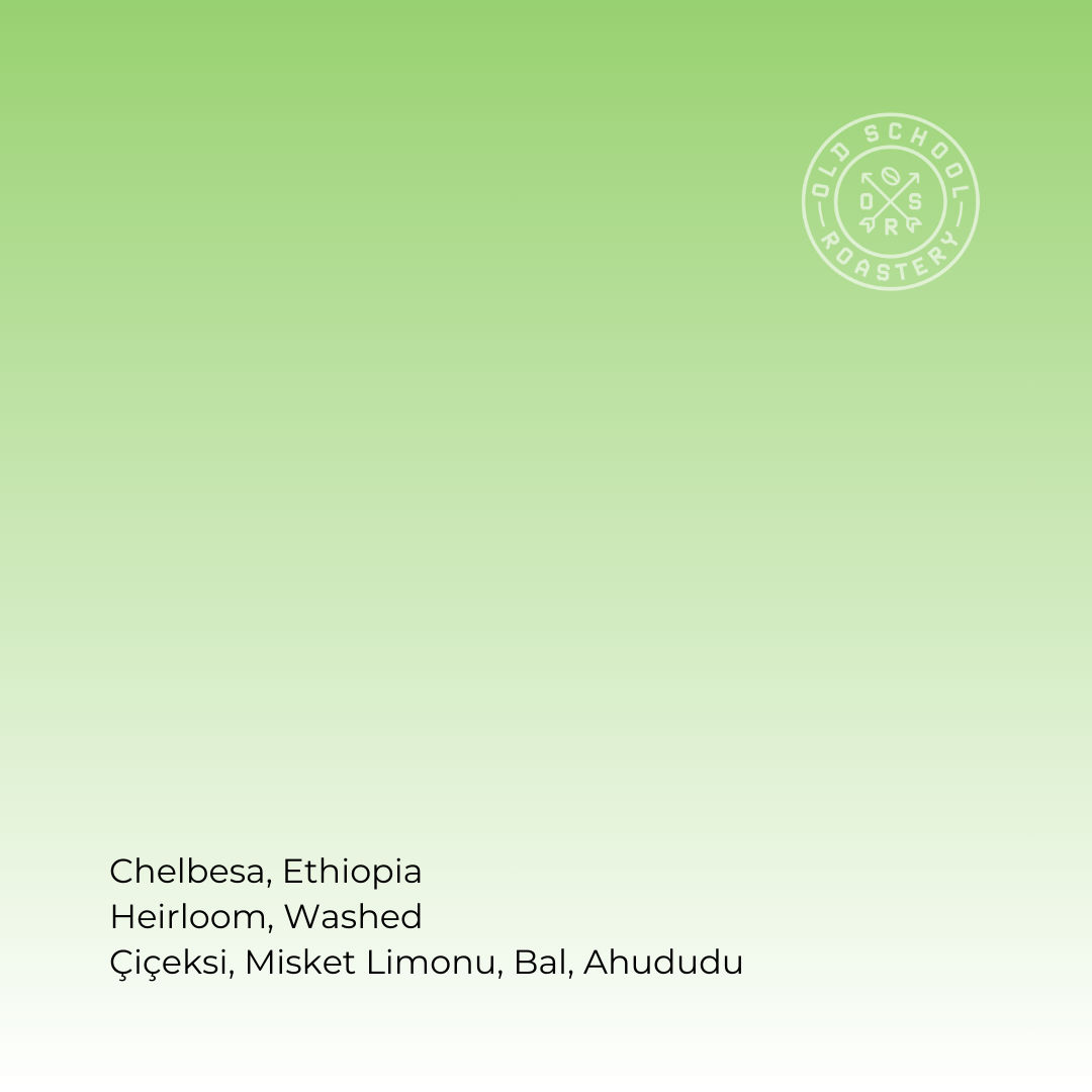 CHELBESA - ETHIOPIA