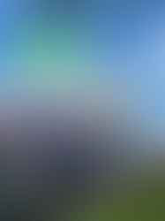 Voluntarios en nuestra comunidad