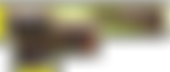 El Ministerio de Ujieres