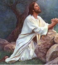 What does God’s tell us this Sunday? July 27th, 2025
