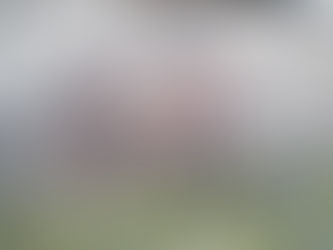 25" Swift Kirmer Arrow cross-frame bike - delightful!