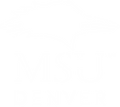 Metro-state-university-msu-logo