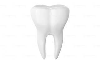 dentist raleigh nc, dentistry raleigh nc, raleigh nc dentist, raleigh dentist, cosmetic dentistry raleigh nc