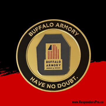 A round challenge coin features a central design of a shield, resembling a door, with a flag prominently displayed within it.