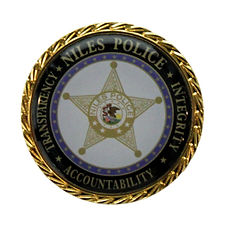 Round lapel pin with bright gold sheriff star, state seal on white background.
