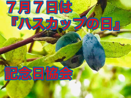 ハスカップの日は7月7日(七夕祭り)