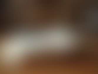 Top Legal Insights for Advocates and Professionals